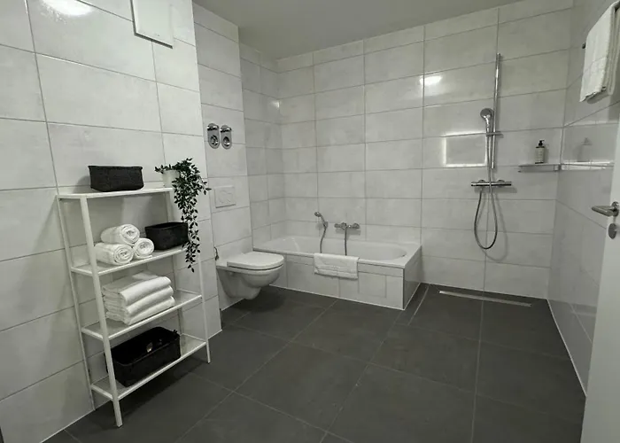 公寓 Star Living Near Frankfurt 美茵河畔哈瑙